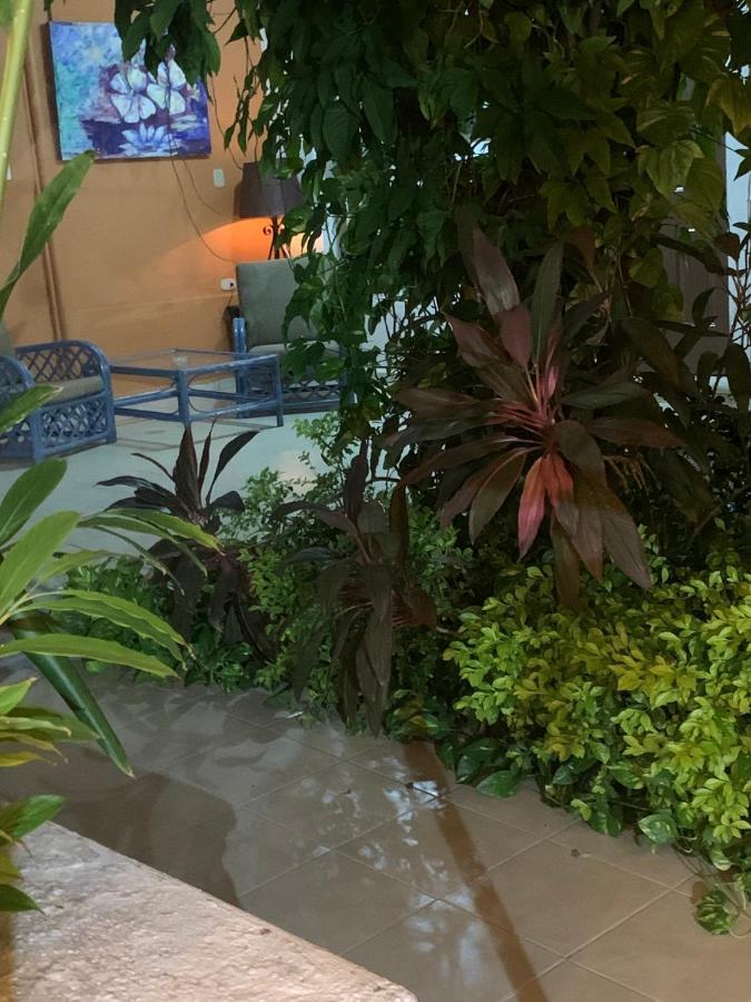 Casa Centro 70 Hotell Mérida Eksteriør bilde